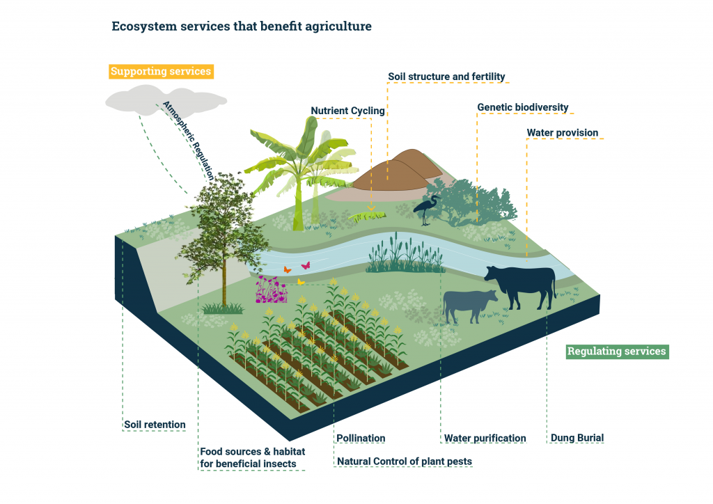 ecosystem-万博manbext体育appservices-agriculture