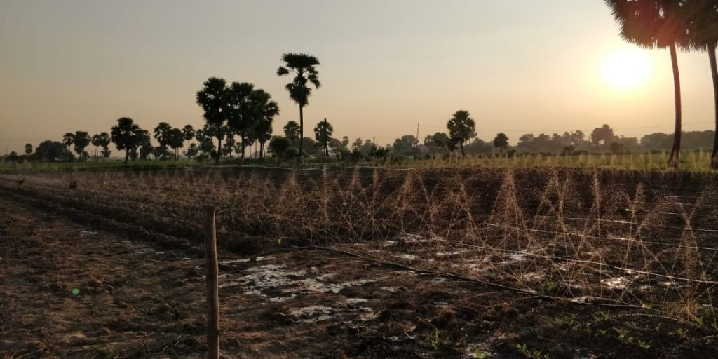 在旱季，Durdih的农场增加了灌溉的需求。