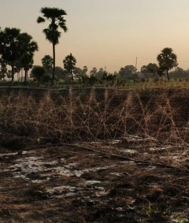 在旱季，越来越多的干旱威胁着Durdih的农场，增加了灌溉需求(图片链接:Khetee，网站链接:https://www.khetee.org/)