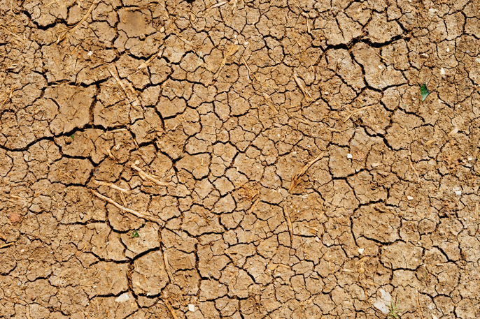 图3 -在世界干旱地区，气候变化只会导致更严重的干旱期。来源:Dan Gold。