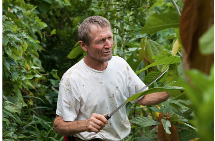 图8 -农林业专家恩斯特Götsch经常挥舞着砍刀或电锯，他总是在修剪和将有机物质带回土壤的过程中，这是他的农林业方法的一个综合部分。来源:ecoeficientes.com