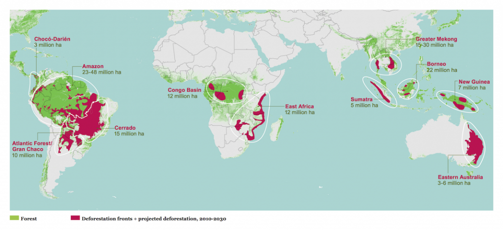 deforestation-map-global
